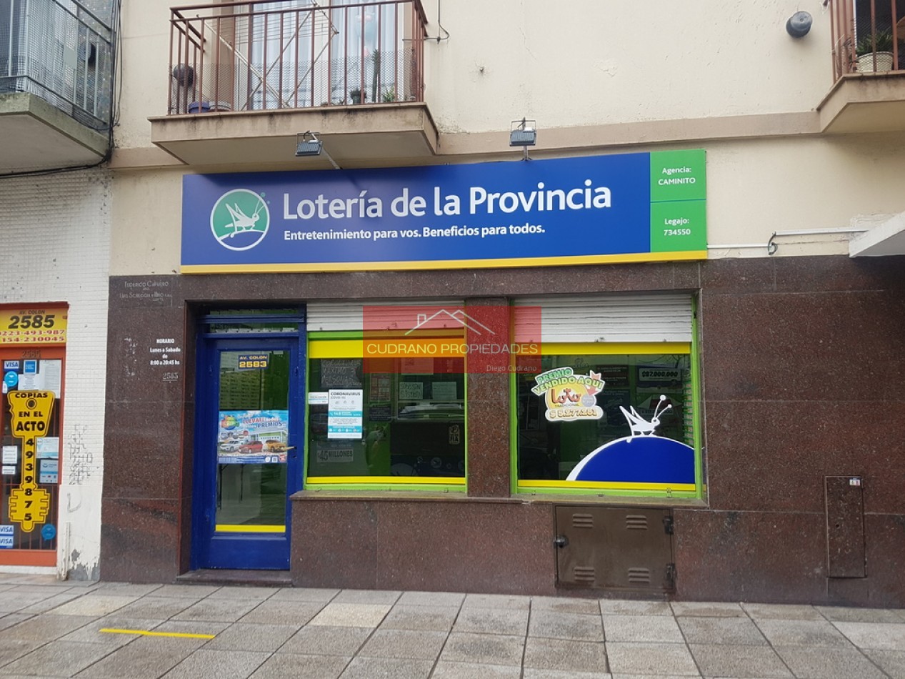 Local Comercial - Excelente Ubicacion
