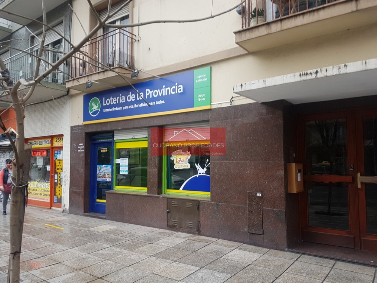 Local Comercial - Excelente Ubicacion